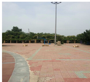 11-12̖ ɽǧɽ^(q)(zhn)؜ϴĻVȵٷݼʹÙ