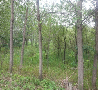 20̖(ho) ɽǧɽ^(q)|ɽ(zhn)ԭ2̎ʹÙ(qun)